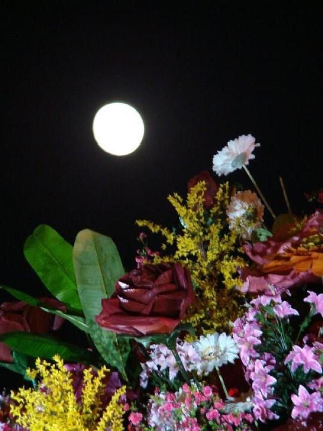 花好月圆,最美的祝福送给你 李云迪 钢琴:彩云追月 明月千里寄相思