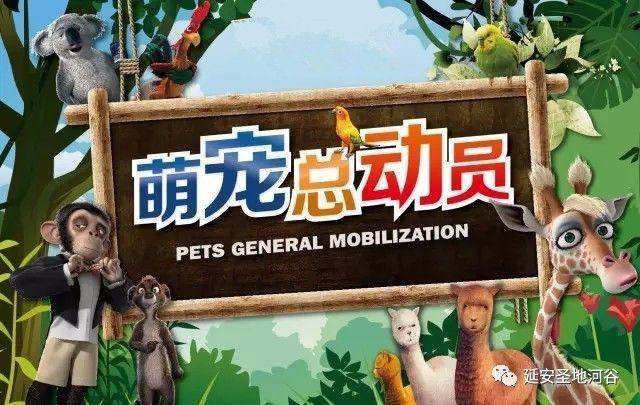 欢乐的室内萌宠乐园