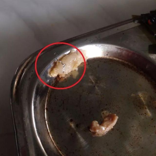 食堂里吃出苍蝇,虫子