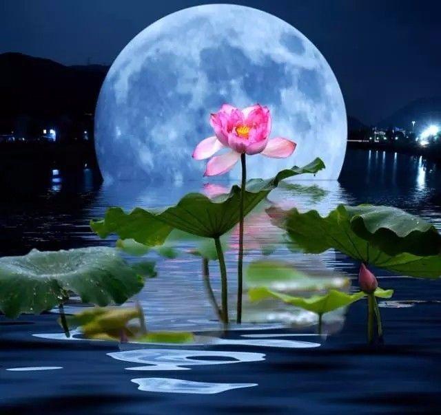 月亮,自古以来 就被寄托了思念之情 海上生明月,天涯共此时 中国月亮