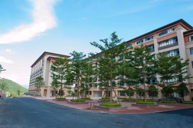 最美风景在校园,龙岩城区各校美图来袭