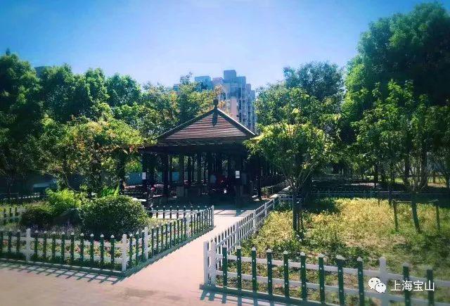 【转载】社区免费开放小公园~菊盛公园重装上阵给你带来小惊喜