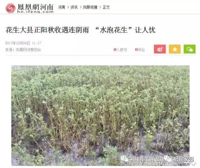 今年的"水泡玉米""水泡花生"有多严重?