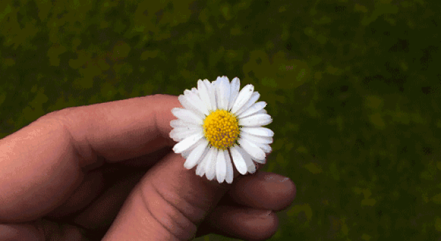500_274gif 动态图 动图