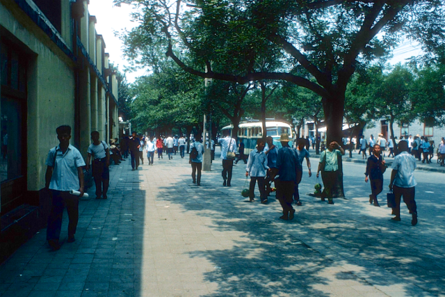 1977年北京罕见街景历史老照片:70年代的北京街道,绿树成荫.