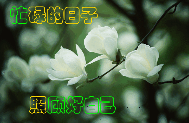 不存在的 西大版中老年专属表情包 