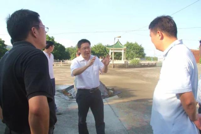 四会市长节日期间奔赴镇村!只为这件事!