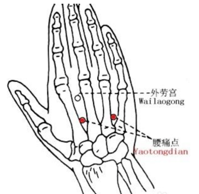①用拇指指端按揉手背第4,第5掌骨间的腰痛点,左右各30次.