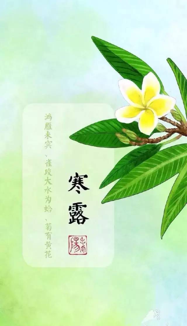 寒露饮食
