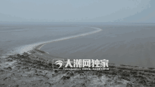 未见潮影,先闻潮声,潮水到来时犹如万马奔腾相当壮观