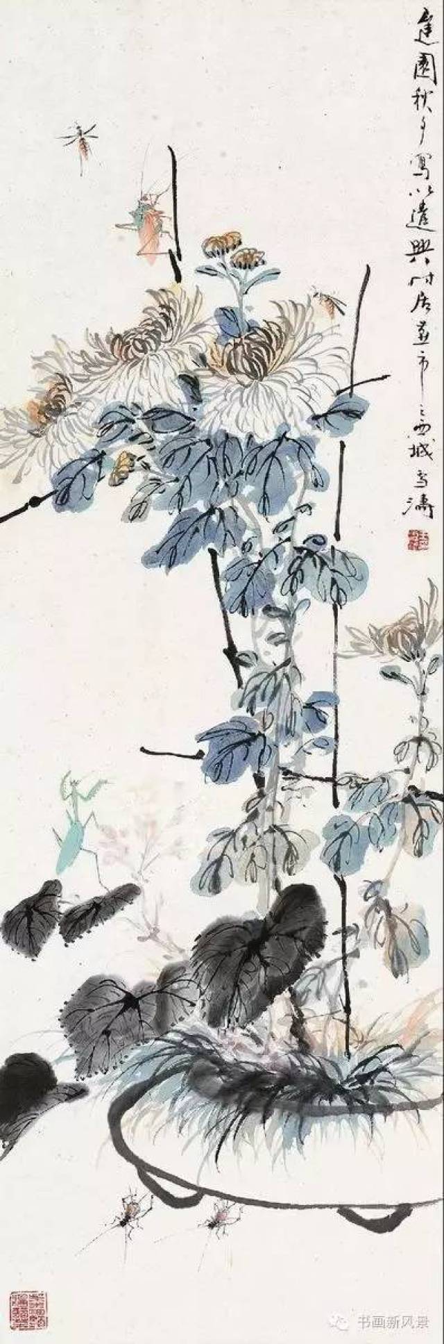 名作| 花鸟大师王雪涛画菊作品20幅!