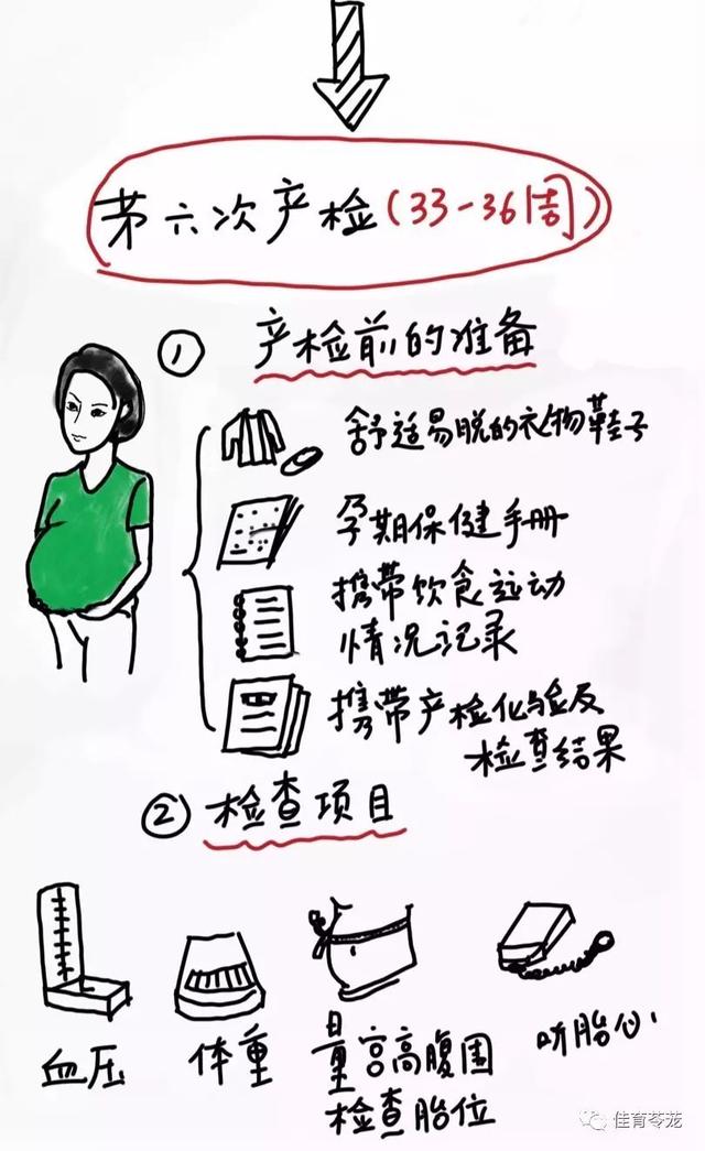 上述流程根据中华医学会妇产科分会产科学组制定的"孕前和孕期保健
