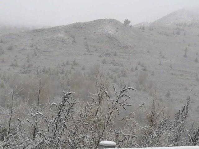 门头沟飘起雪花  今天早晨,延庆西北部的小海坨山,佛爷顶和门头沟灵山