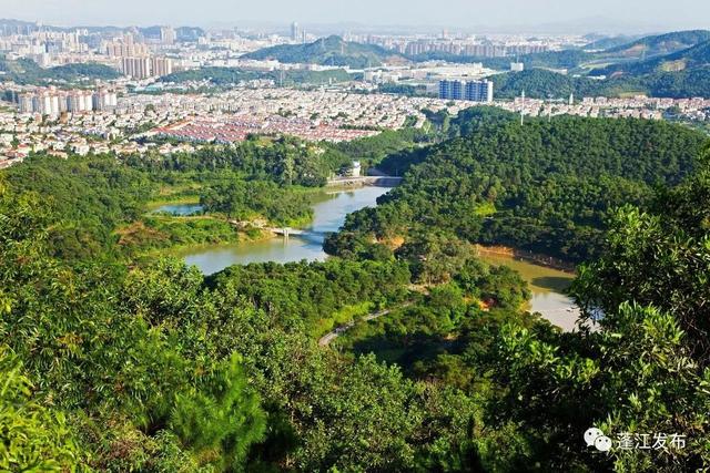 【喜讯】就在今天!江门正式获批成为国家森林城市