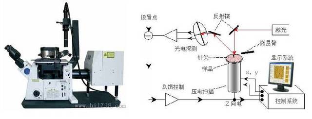 原子力显微镜及工作原理