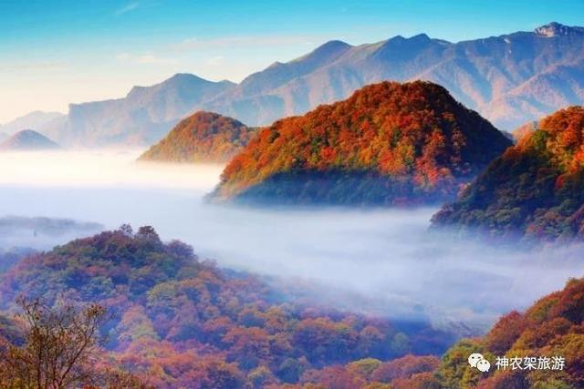 你好,秋色 | 寻找湖北最美秋景--神农架