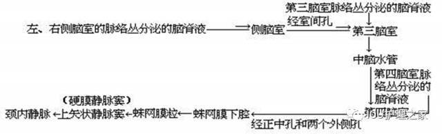 脑脊液循环通路