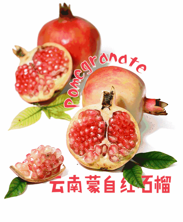 秋季抢购清单,这些必不可少的