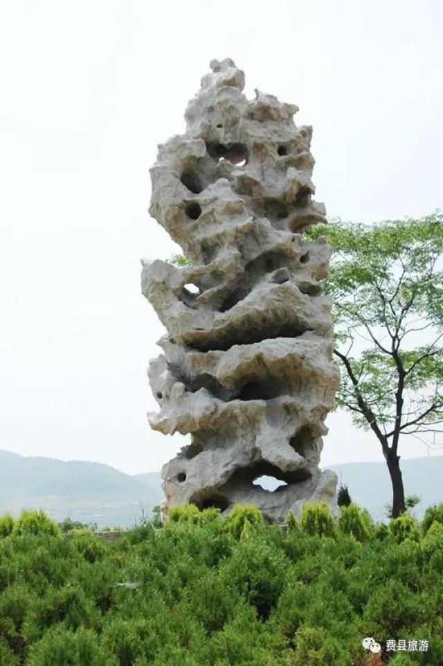 【费县奇石】亲情沂蒙 石在费县