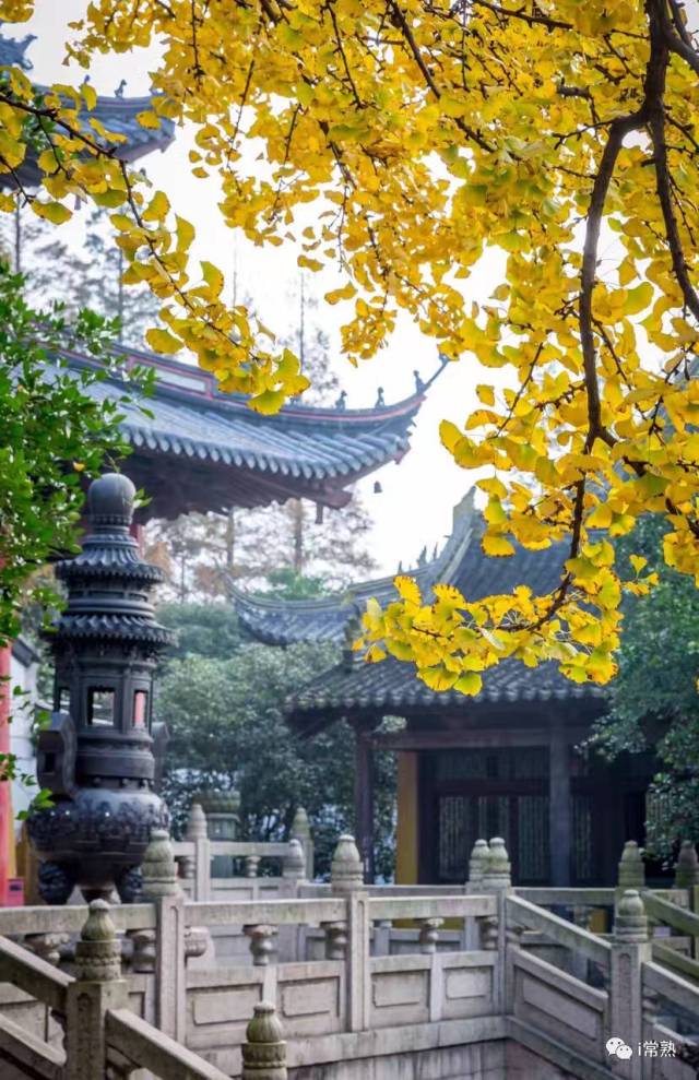 因为几张照片,三峰寺一夜成网红!但是三峰寺表示不同意