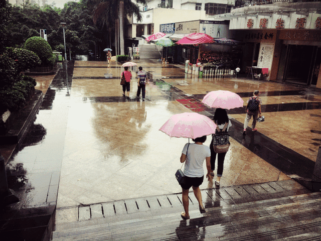 今早一起床,小编就发现窗外白茫茫的一片 哇,下雨啦 看来,攀枝花是要