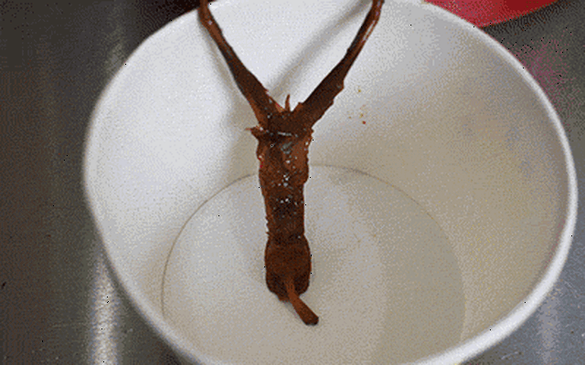 400_250 gif 动态图 动图