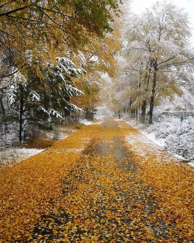 山西多地都下雪啦!洪洞人不怕冷却愁它