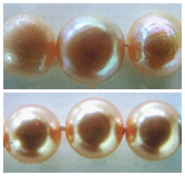 淡水珍珠(上)表面可见深浅不一的生长纹;而塑料仿珍珠(下)只有颗粒