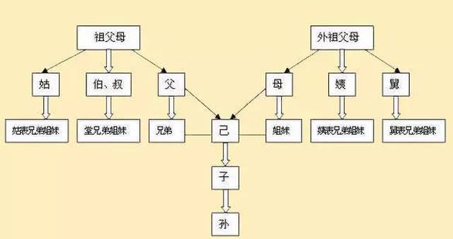 法院审理认为, "亲上加亲"近亲结婚极易造成一方或双方的基因缺陷遗传
