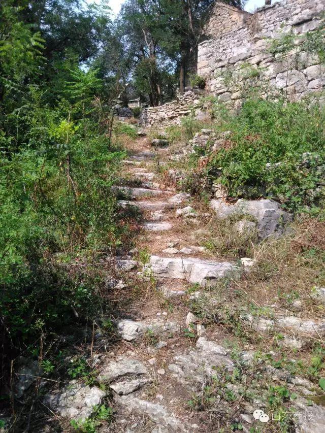 2 凤凰村 凤凰村位于历城区仲宫的东北部,这些石头房