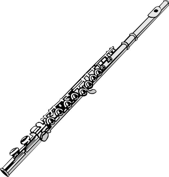 早期的长笛是乌木或者椰木制,所以被归为木管组乐器,但是现在的长笛