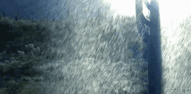 443_220 gif 动态图 动图