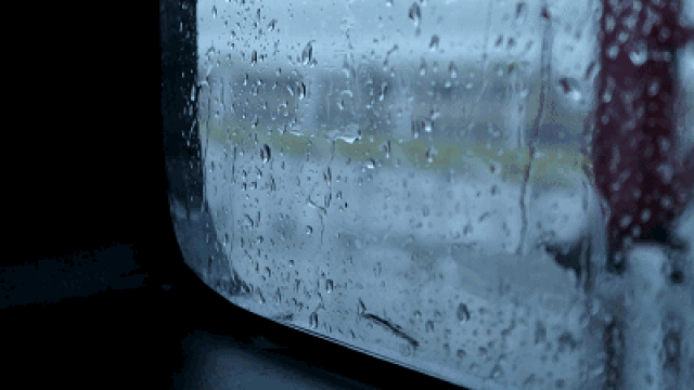 偶尔你还可以赏一场突如其来的雨.
