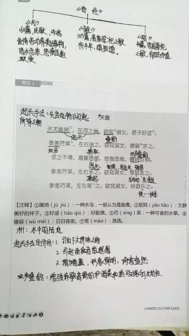 关关雎鸠,在河之洲 笔记做好,得分不愁