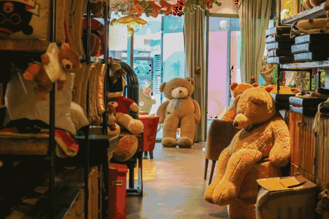 店里的壁橱里面展示的都是收藏系列的泰迪熊