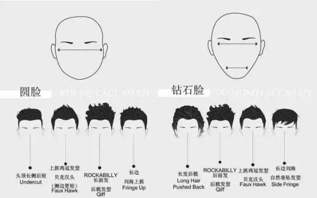 对应脸型的轮廓图,大致可以确定