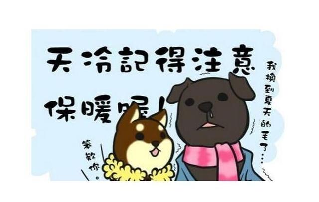 搞笑频道-手机搜狐