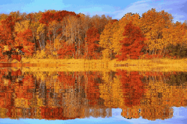 秋天赏红叶游玩目的地大全