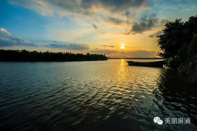 因水而盛,依水而兴——"水城"麻涌一直在行动