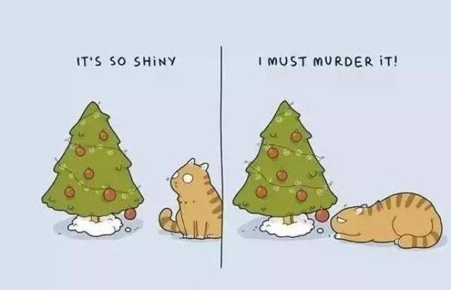 百看不厌的动物视频 a2ea4b14193948c6ab6933ba49fe31eb.jpeg