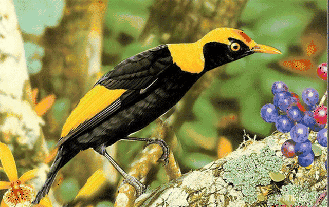 送你20句精辟话,20张会动的图,真绝了!