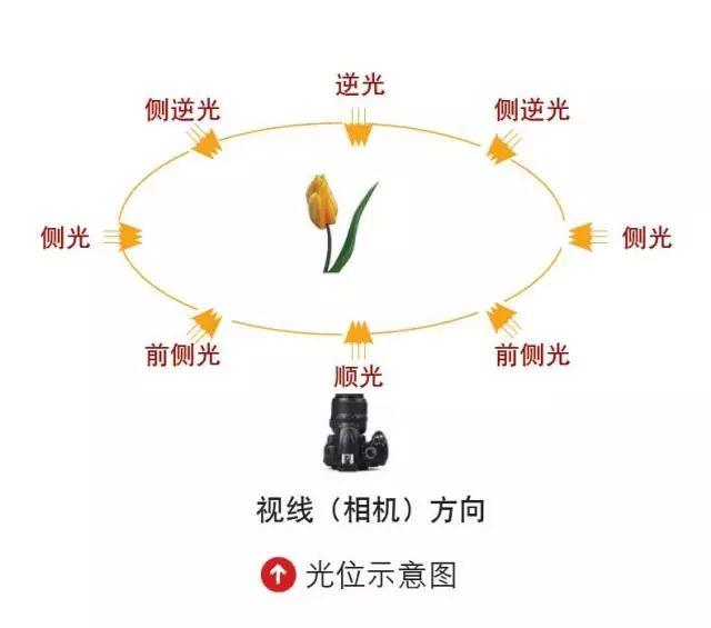 如何利用不同光位拍出好照片?