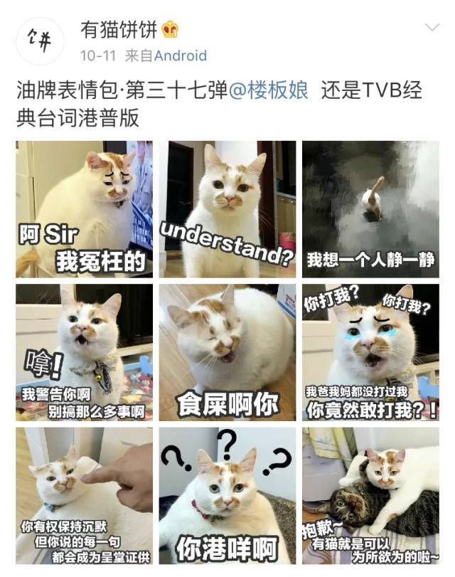 在楼楼突发心脏病的那几天 大家也都在以各自的方式 为楼楼加油 无数