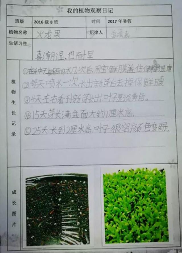 同学们在生活中留心观察植物,拍照并记录了它们的生活习性并记录.