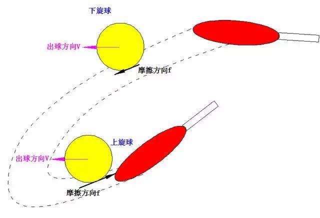 新手如何把上下旋发好!让你瞬间提高发球质量!
