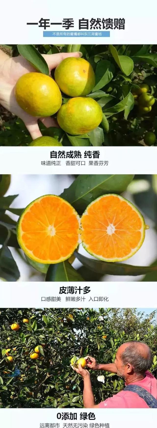 好货不等人,潮爷送福利:东江湖蜜桔5斤39.9元火热上架!