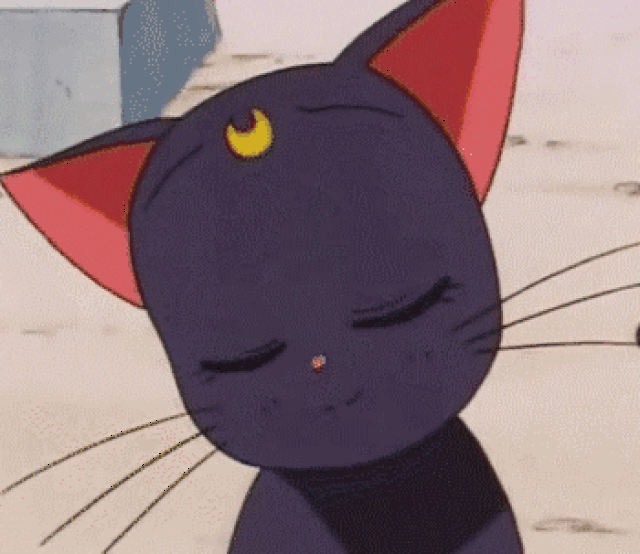 gif l 我要代表月亮拯救你的少女心