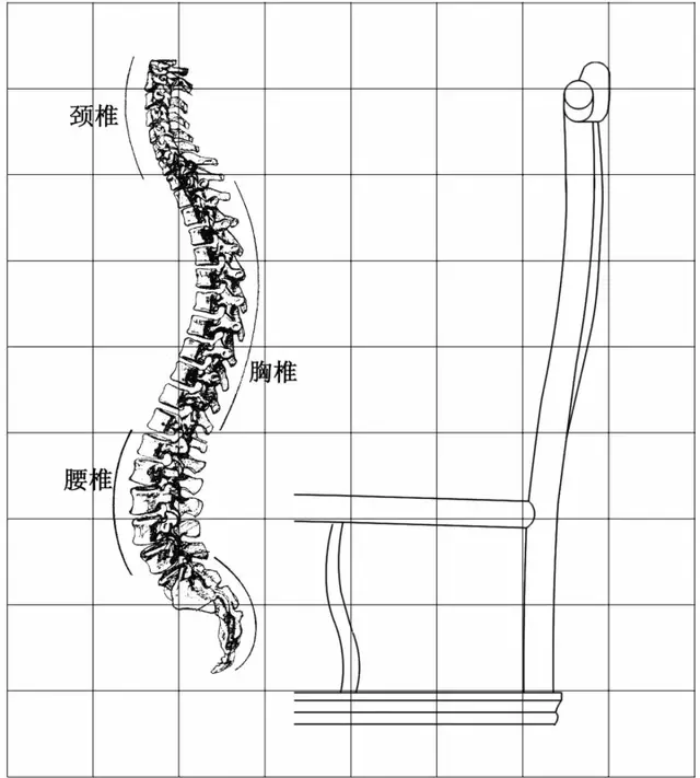 与枕骨分散到搭脑上,胸椎与腰椎也能依托于靠背板的曲面而得到放松