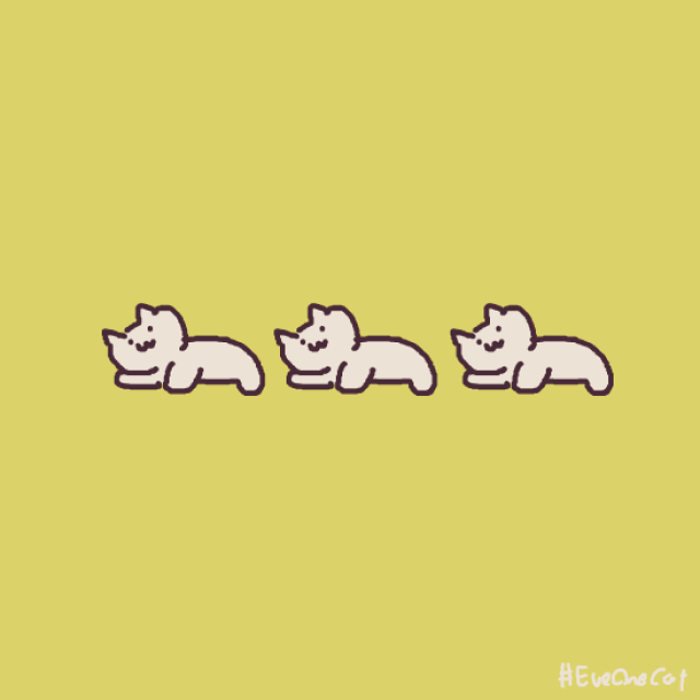 解救不开心!笑着擦泪!全是猫奴福利