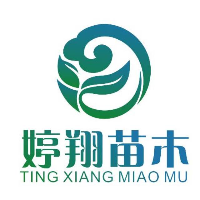 logo:直达心智的简洁